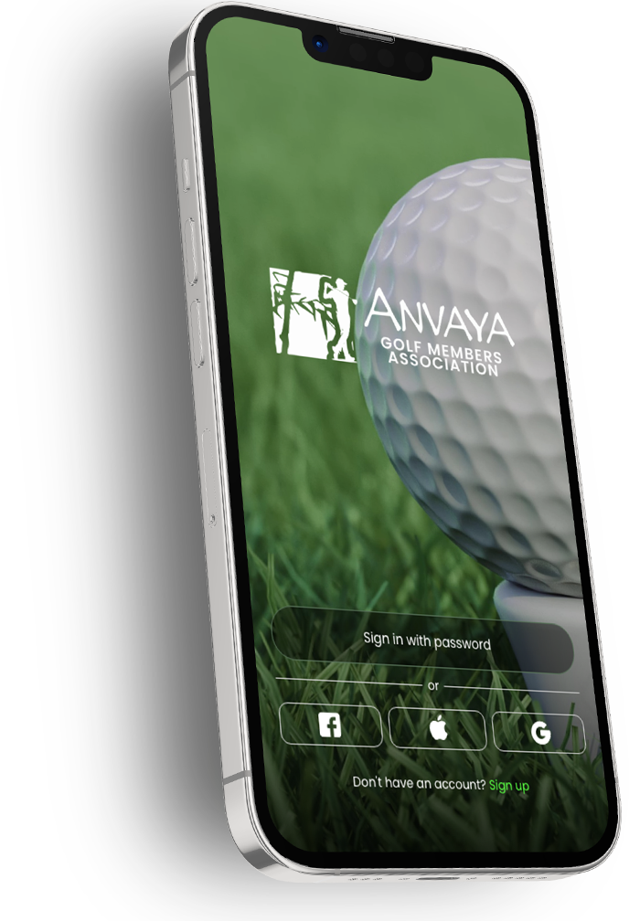 iPhone Mockup
